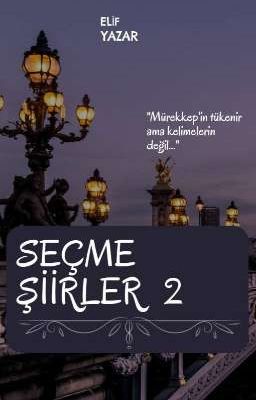 SEÇME ŞİİRLER  2 cover