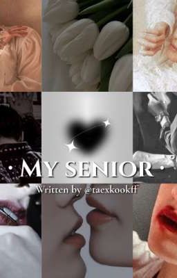 MY SENIOR  cover