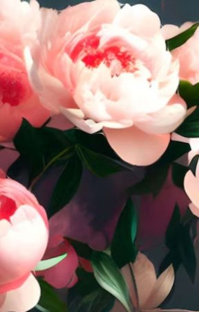 Peonies and Magnolias by shinswife69