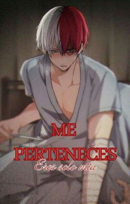 Me Perteneces (Todoroki yandere x Tu ❤️) cover