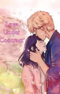 Love Under Contract cover