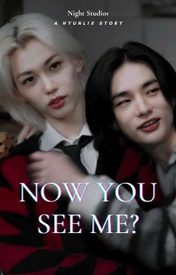 Now You See Me? ~ A Hyunlix Story cover