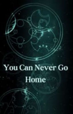 You Can Never Go Home cover