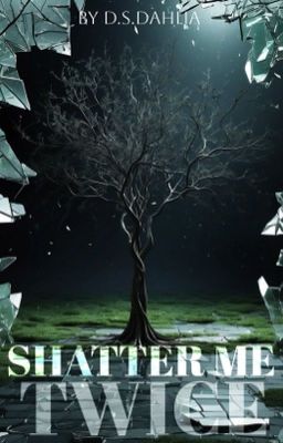 Shatter Me Twice cover