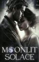 Moonlit Solace by pseudonymBliss