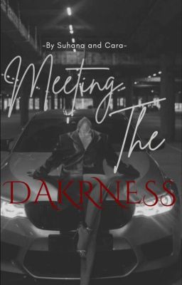 MEETING THE DARKNESS cover