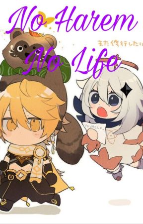 No Harem No Life by Daniel_Von_Einzbern