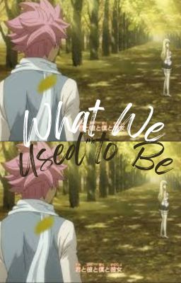 What we Used to Be cover