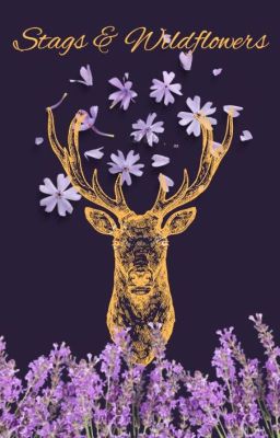 Stags and Wildflowers cover