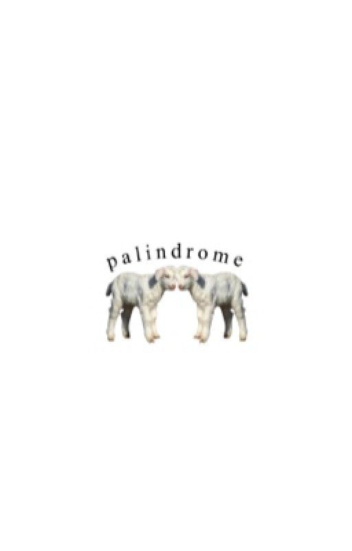 palindrome ( YELLOWJACKETS ) by celestelake