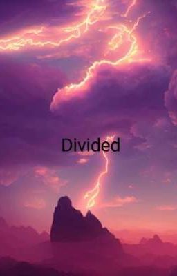 Divided cover