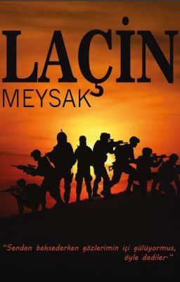 LAÇİN cover