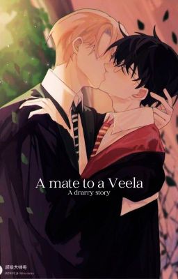 A mate to a Veela (A Drarry Story) cover