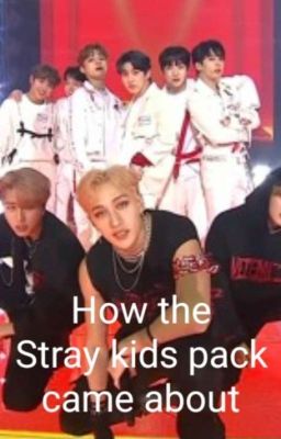 How the Stray kids pack came about cover