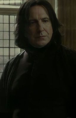 COMFORT: Snape x Reader cover