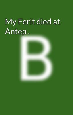 My Ferit died at Antep . cover