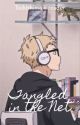 Tangled in the net || K. TSUKISHIMA  by SilentPookie