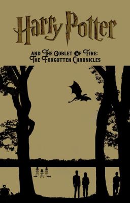 Harry Potter: The Forgotten Chronicles-Book 4 cover