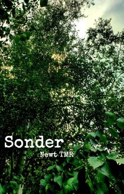 Sonder - Newt TMR cover