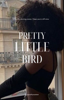 Pretty Little Bird cover