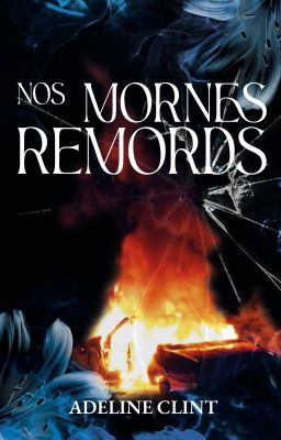 Nos Mornes Remords - Tome II cover