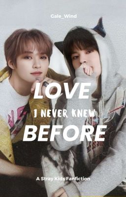 Love I never Knew Before  cover