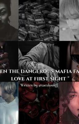 when the dangerous mafia fall in love at first sight  cover