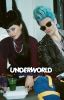 UNDERWORLD | Hades & Maléfica 