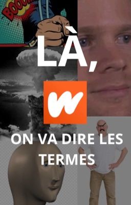 LÀ, ON VA DIRE LES TERMES. cover