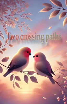 Two crossing paths cover