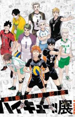 Haikyuu! Oneshots cover