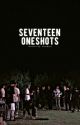 SEVENTEEN ONESHOTS [✓] by castmoar