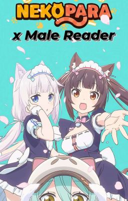 Nekopara x Male Reader cover