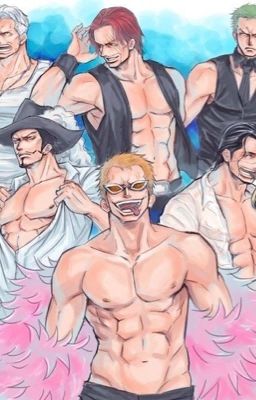 One piece x Reader cover