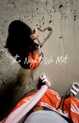 The Night We Met cover