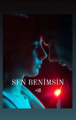 SEN BENİMSİN   18 cover