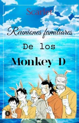 Reuniones familiares de los Monkey D cover