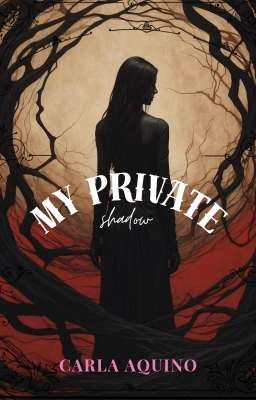 My Private Shadow cover