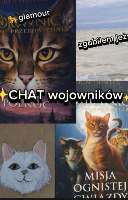 ✨chat wojowników✨ cover