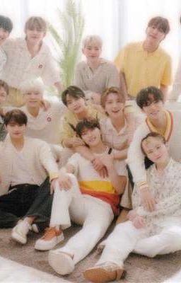 Seventeen oneshots  cover