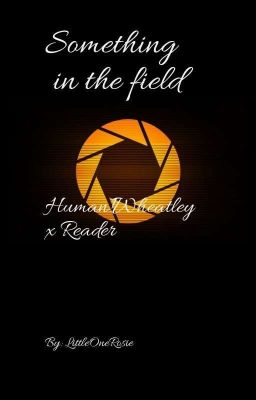 Something In The Field (human Wheatley x reader) cover