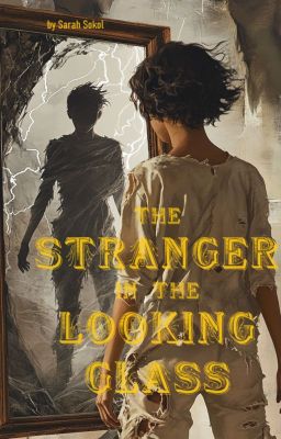 The Stranger in the Looking Glass cover