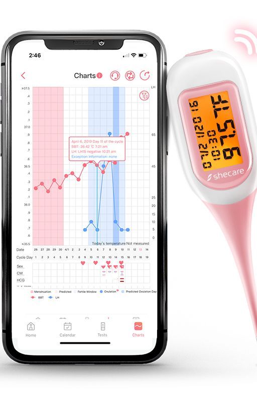 Shecare Smart Bluetooth Basal Thermometer by shecare1