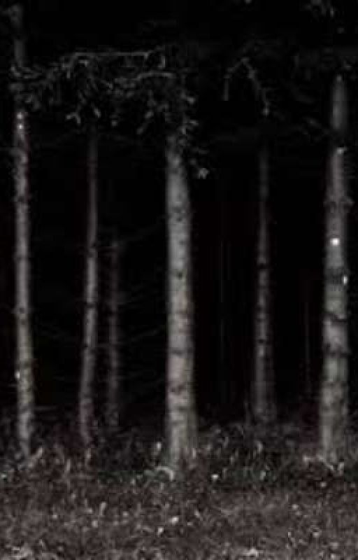 Dark nights: In the woods by storyteller12212013