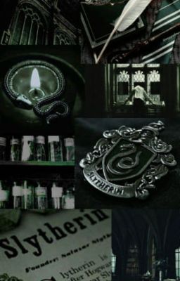 The Slytherin Gang, Book 1 - Years 1-4 cover