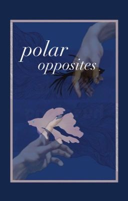 polar opposites [satosugu] cover