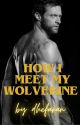 How I Meet My Wolverine - Logan Howlett x Reader by dhefaran