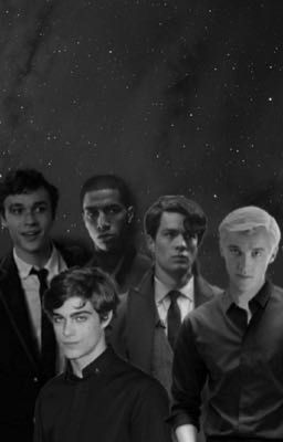 From day one (slytherin boys x Y/N) cover