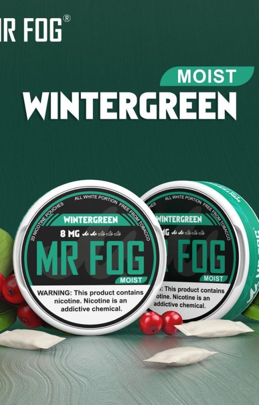 Refresh Your Routine with Moist Wintergreen Mr. Fog Nicotine Pouches by adjimmy