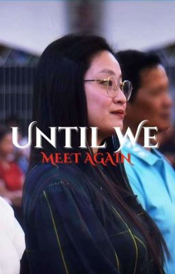 Until We Meet Again cover